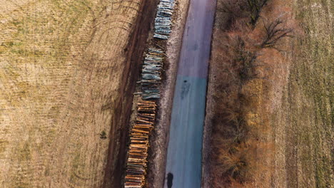 Piles-of-pine-logs-cut-to-length-on-the-side-of-the-road-in-aerial-view