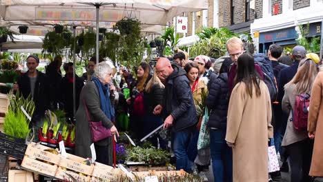 People-buying-plants-and-flowers-at-the-Columbia-Road-Flower-Market