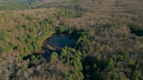 Pond-in-dense-tree-thicket-above-Quabbin-Reservoir,-aerial-dolly-establish