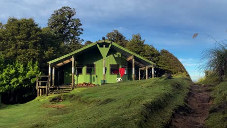 Trail-leading-to-Panekire-Hut-on-grassy-hill,-Lake-Waikaremoana-Track,-New-Zealand
