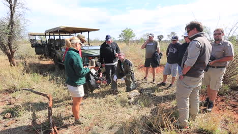 A-group-of-men-work-on-a-conservation-project-for-the-collaring-of-African-Wild-dogs-during-summer-at-the-Madikwe-Private-GAme-Reserve