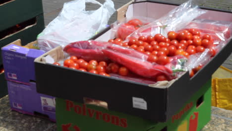 Close-up-shot-of-a-fresh-display-of-vegetables-at-a-protest-against-the-use-of-GMO-in-food-industry