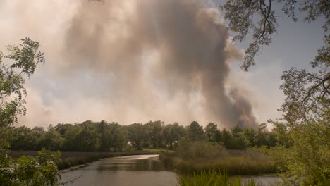 Five-Mile-Swamp-Feuer-Im-Santa-Rosa-County-Ab-Mai-2020