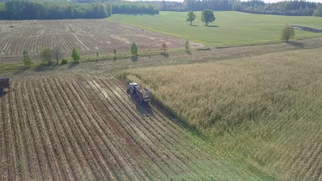 Wide-rural-landscape-view-of-harvesting-maize-field-with-scenic-background