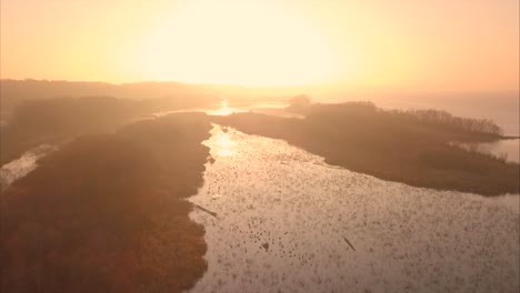 Sonnenaufgang-über-Dem-Sumpfigen-Fluss-Mit-Vögeln