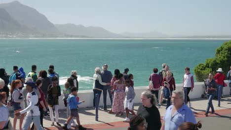 Crowd-looks-on-as-whale-breaches-in-front-of-them-in-the-bay,-Hermanus,-South-Africa