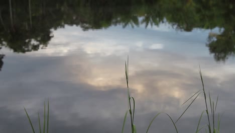 Close-up-of-calm-lake-water-with-reflection-of-the-sky-and-nature-with-grass-in-front