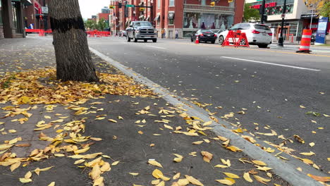 Herbst-In-Der-17.-Avenue