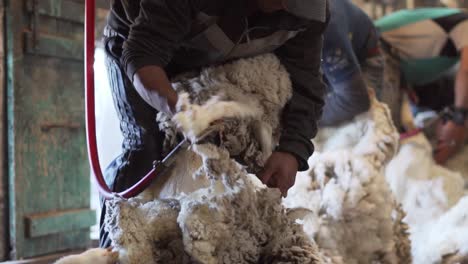 A-Farmer-Shearing-Sheep-Wool-In-A-Farm-In-Patagonia---Slow-Motion