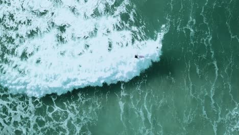 Surfistas-Intentando-Nadar-Entre-Olas-Rompientes