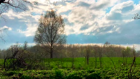 Farbenfrohe-Lettische-Landschaft-Bei-Regen-Und-Sonne-Gleichzeitig