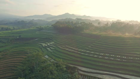 Early-morning-and-rice-field-terraces,-aerial-drone-view