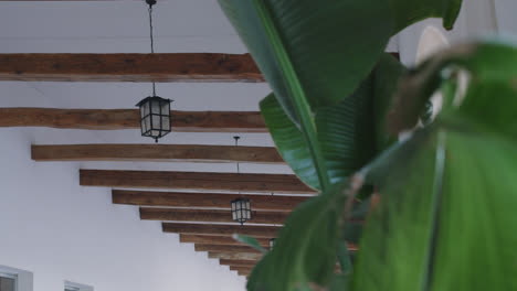 beautiful-slow-motion-shot-of-a-wine-restaurant-during-the-morning-in-Burgos,-Spain-from-a-green-plant-to-a-lantern-on-the-roof