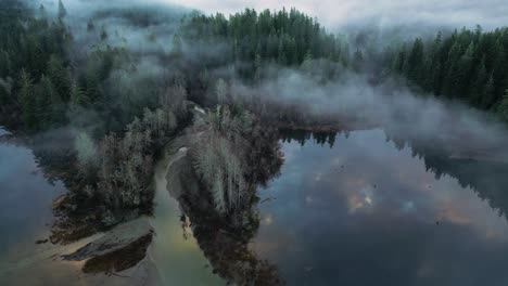 Luftaufnahme-Eines-Abgeschiedenen,-Malerischen-Sees-Und-Nebliger-Bäume-Bei-Sonnenaufgang