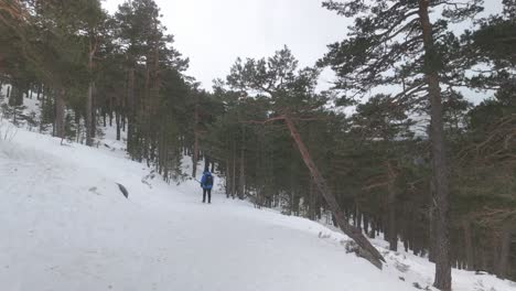 back-view-of-young-woman-waking-in-snowy-forest-in-Madrid-mountain-range-Navacerrada