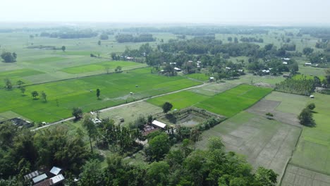 Drohnenaufnahme-Der-Größten-Flussinsel-Asiens,-Majuli-Island