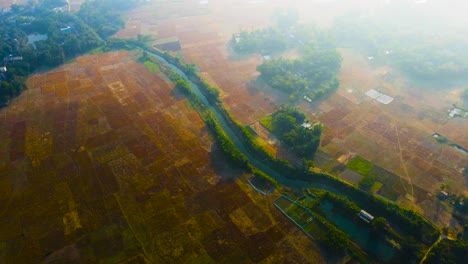 Vastas-Tierras-De-Cultivo-Y-Un-Pequeño-Río-En-Bangladesh---Panorámica-Aérea-A-La-Luz-Del-Sol-De-La-Mañana