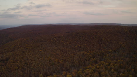 Panoramic-aerial-of-orange-fall-foliage-of-Ozark-National-Forest-Arkansas