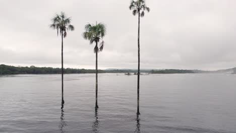 Aerial-video-of-the-Canaima´s-lagoon,-in-Bolivar-State,-Venezuela,-flying-through-moriche-palms