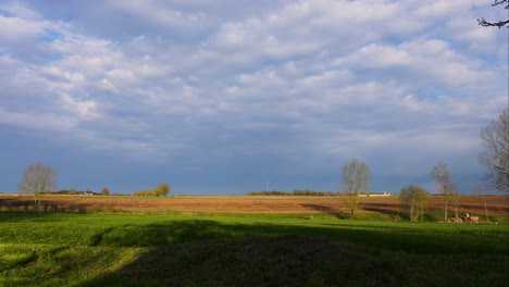 Zeitraffer-Von-Schnell-Ziehenden-Dunkelblauen-Gewitterwolken-über-Landwirtschaftlichen-Feldern,-Lettland