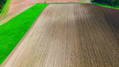 Starker-Kontrast-In-Der-Landwirtschaft:-Grünes-Getreidefeld-Neben-Gepflügtem-Land