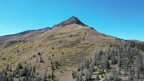 Imponente-Montaña-Cubierta-De-Denso-Bosque