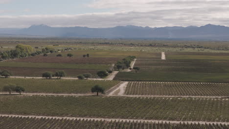 Aerial-image-reveals-various-vineyards-in-the-region-of-Cafayate-in-Salta,-Argentina,-renowned-for-its-high-altitude-grape-plantations
