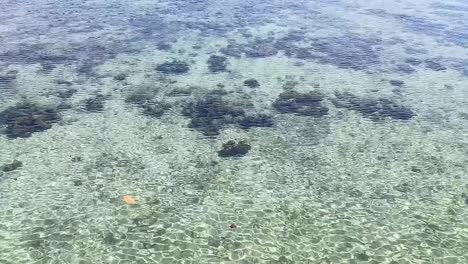 Klares-Wasser-Des-Meeres-Auf-Der-Insel-Karampuang-In-Mamuju,-West-Sulawesi,-Indonesien