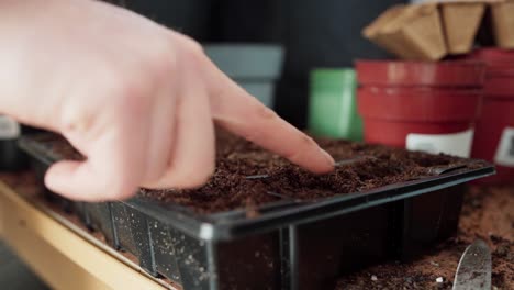 Loam-Soil-Clay-In-A-Square-Disposable-Seed-Pot-For-Indoor-Gardening