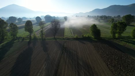 Los-Primeros-Rayos-Del-Amanecer-Atraviesan-La-Niebla-Sobre-Parcelas-Bellamente-Sembradas-Que-Se-Evaporan-En-Primavera,-Abrazando-La-Agricultura.