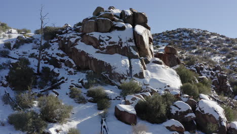 Snow-covered-landscape-with-plants-and-rocks-against-blue-sky-during-a-sunny-day---Joshua-Tree,-California