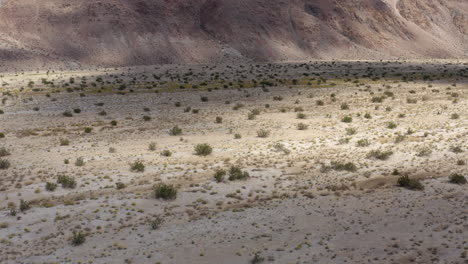 Ansichten-Der-Vegetation-Und-Der-Tonreichen-Böden-In-Den-Badlands,-Luftaufnahme