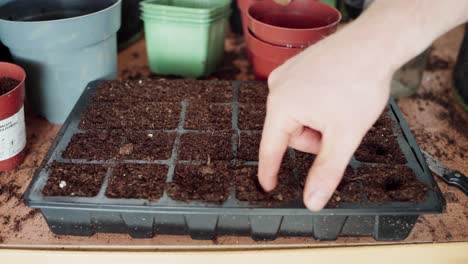 Hand-Bohrt-Mit-Dem-Finger-Ein-Loch-In-Die-Saatschale---Nahaufnahme