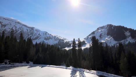 Schneebedeckte-Berge-Verstecken-Sich-Im-Hintergrund-Eines-Kiefernwaldes-An-Einem-Sonnigen-Tag-Mit-Blauem-Himmel