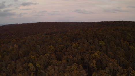 Herbstlaub-Natürliche-Waldhintergrundstruktur-Aus-Den-Ozarks,-Arkansas