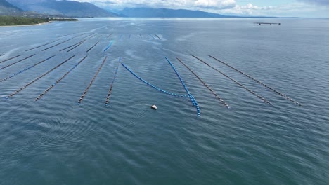 Vista-Aérea-De-La-Acuicultura-Costera-En-La-Bahía-De-Puerto-Montt