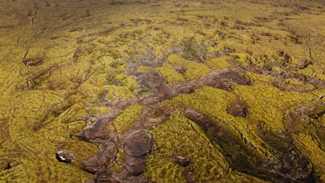 Isländische-Mooslandschaft-Mit-Ineinander-Verschlungenen-Wasserläufen,-Bedecktem-Himmel,-Luftaufnahme