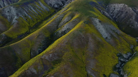 Hermosa-Vista-De-Flores-Silvestres-En-Flor-Amarilla_drone.