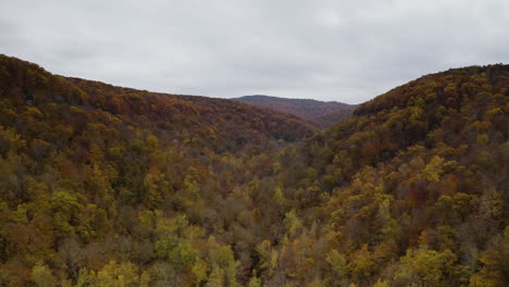 Herbstlaub-Füllt-Tal-Im-Ozark-National-Forest-Von-Arkansas-Mit-Orange-Und-Gelb