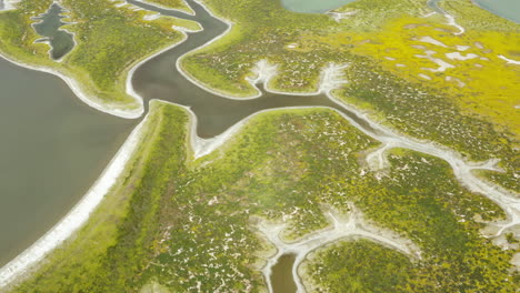 Una-Vista-De-Pájaro-Revela-La-Cautivadora-Belleza-De-Las-Estribaciones-De-Las-Llanuras-De-Carrizo-En-California,-Mostrando-Vastos-Paisajes-E-Impresionantes-Vistas-Naturales