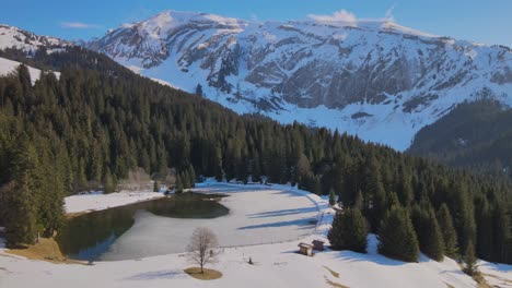 Kleiner-Künstlicher-See-In-Der-Französischen-Bergregion-Mit-Wald-Und-Schneebedeckten-Klippen-Im-Hintergrund