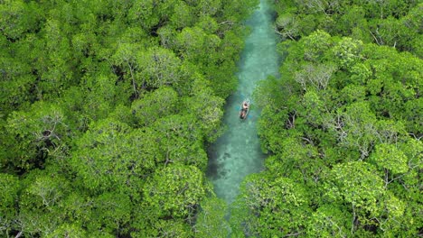 couple-kayaking-through-a-turquoise-blue-river-surrounded-by-a-tropical-mangrove-forest,-birds-eye-aerial-view