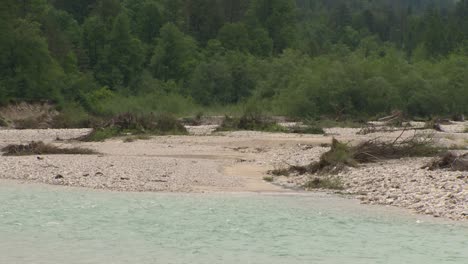 driftwood-on-river-banks-amidst-lush-greenery-and-forest-in-slovenia,-soca-river