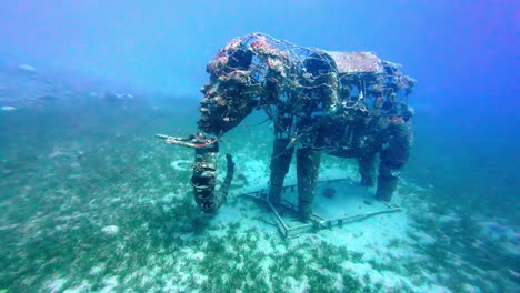 Metallische-Elefantenskulptur-Auf-Dem-Meeresboden-Im-Roten-Meer,-Dahab,-Ägypten
