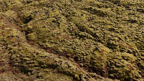 Vivid-green-moss-covering-rocky-Icelandic-terrain,-hints-of-red-soil