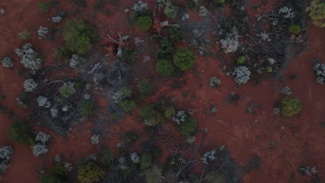 Drohnenclip-Zeigt-Die-Einzigartige,-Farbenfrohe-Umgebung-Des-Abgelegenen-Australischen-Outbacks