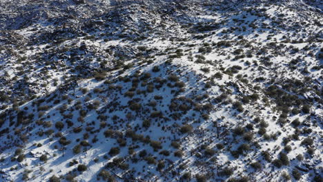 Granite-hills,-Joshua-Tree-National-park,-covered-in-snow