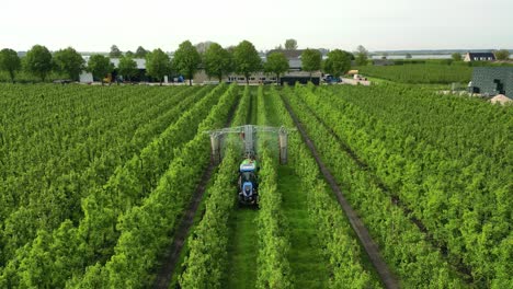 Un-Jardinero-Conduce-Su-Tractor-A-Través-De-Su-Huerto-De-Perales-Y-Rocía-Productos-Fitosanitarios-Sobre-Las-Peras-En-Los-Países-Bajos
