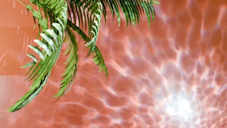 Pflanze,-Baum,-Tropische-Natur-Auf-Flüssigem-Hintergrund-Mit-Licht,-Das-Von-Der-Wasseroberfläche-Kommt,-Rote-Farbe,-Sonnenuntergangslicht