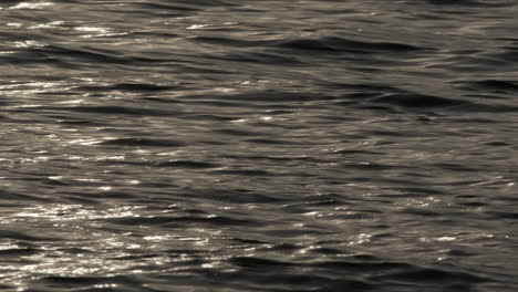 Lucid-smooth-water-ripples-in-mesmerizing-calm-pattern-with-shining-light